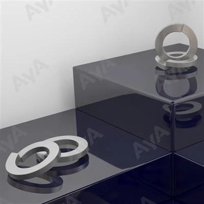 SS Spring Washer